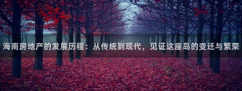 新宝rc_5w：海南房地产的发展历程：从传统到现代，见证这座