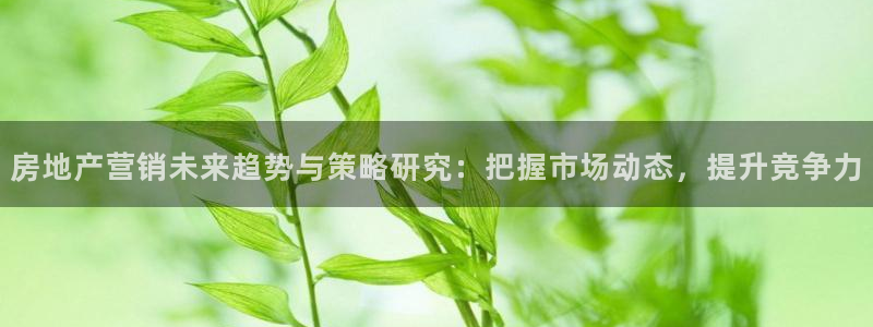 新宝5手机登陆：房地产营销未来趋势与策略研究：把握市场动态，