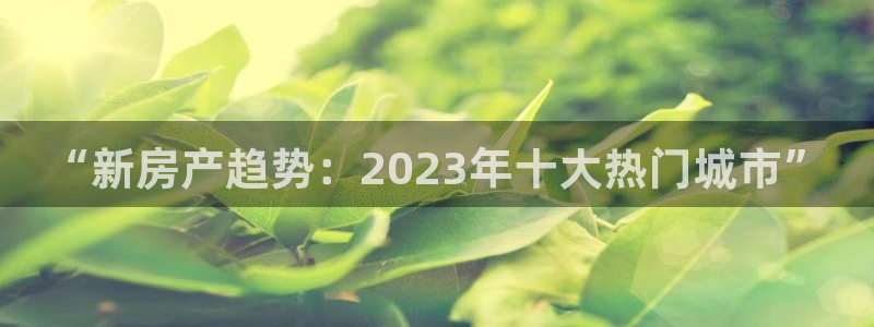 菲律宾新宝5老板