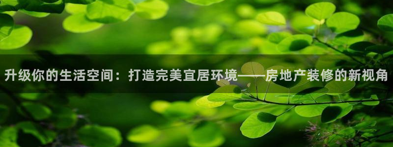 新宝5登陆：升级你的生活空间：打造完美宜居环境——房地产装修