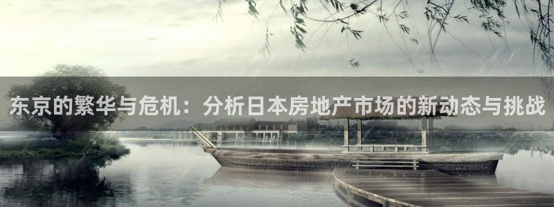 新宝5地址：东京的繁华与危机：分析日本房地产市场的新动态与挑