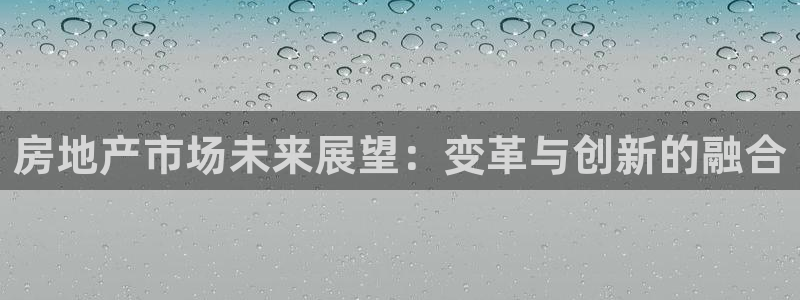 新宝rm5：房地产市场未来展望：变革与创新的融合