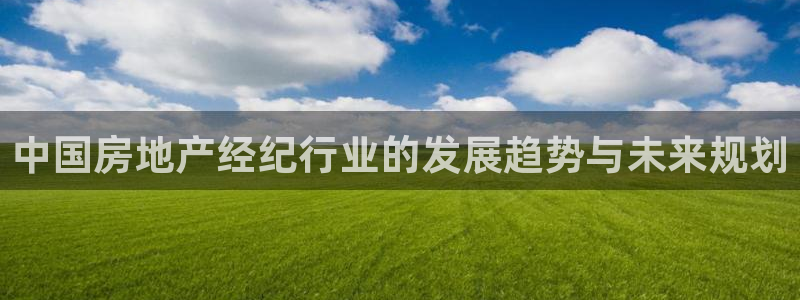 新宝5测速登录：中国房地产经纪行业的发展趋势与未来规划