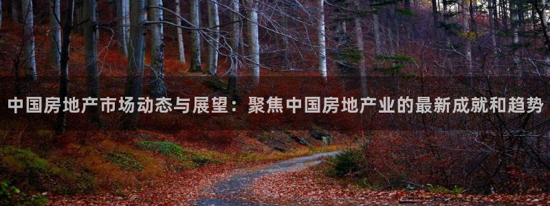 新宝5平台咋样：中国房地产市场动态与展望：聚焦中国房地产业的