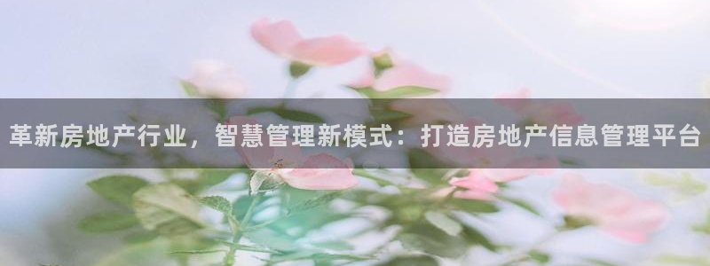 新宝5手机平台登陆：革新房地产行业，智慧管理新模式：打造房地