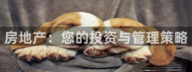 新宝5彩票是正规平台吗：房地产：您的投资与管理策略
