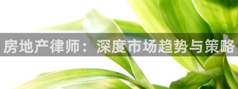 新宝5挂机软件：房地产律师：深度市场趋势与策略