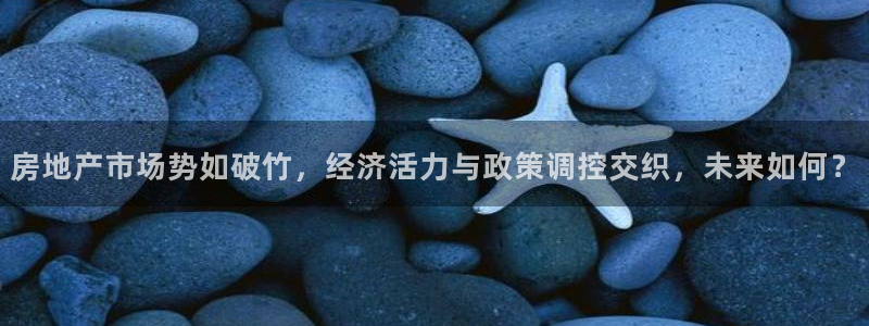 新宝5怎么下载到桌面：房地产市场势如破竹，经济活力与政策调控