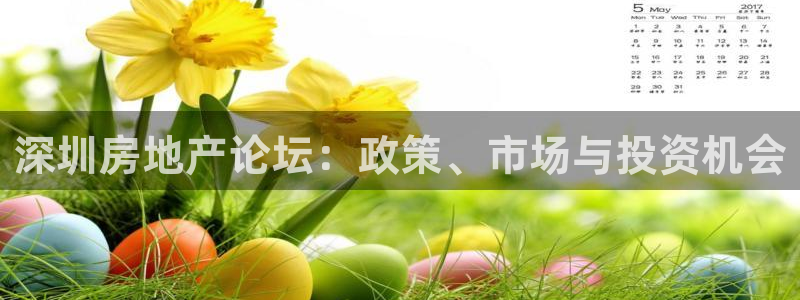 新宝5登录入口网址：深圳房地产论坛：政策、市场与投资机会