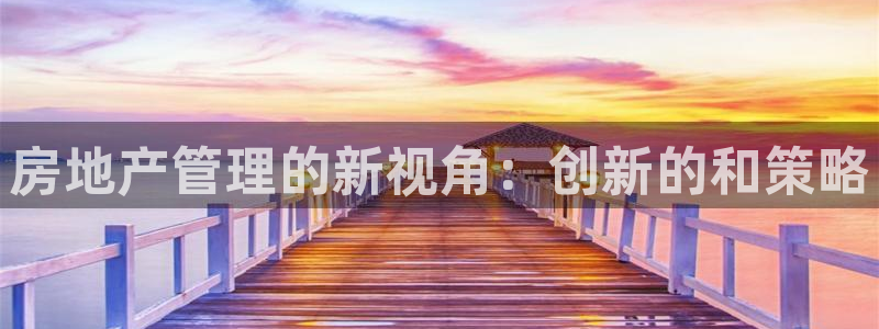 新宝5湫333 00：房地产管理的新视角：创新的和策略