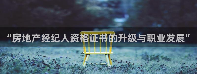 新宝新5：“房地产经纪人资格证书的升级与职业发展”