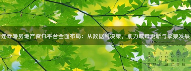 新宝5下载app：连云港房地产资讯平台全面布局：从数据到决策