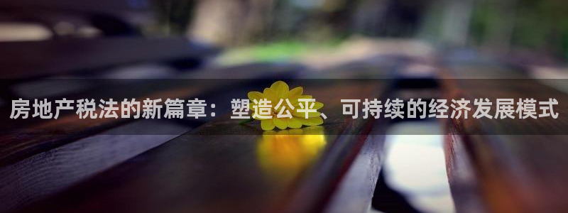 新宝5手机版登录：房地产税法的新篇章：塑造公平、可持续的经济