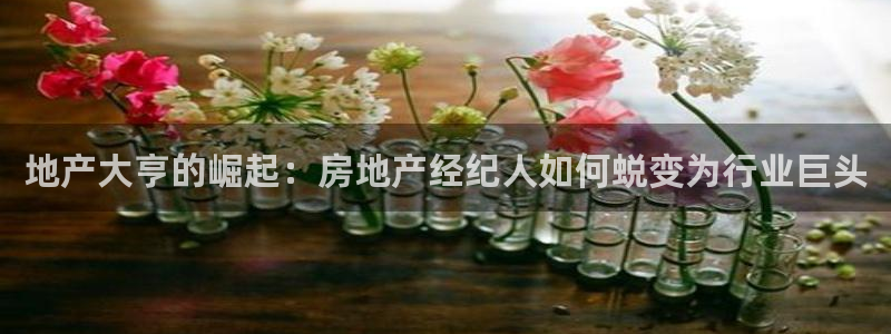 新宝5官网67五壹叁八：地产大亨的崛起：房地产经纪人如何蜕变