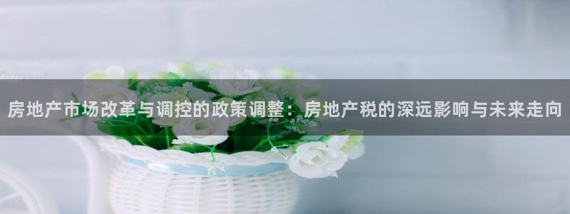 新宝5娱乐招商：房地产市场改革与调控的政策调整：房地产税的深