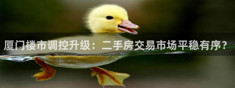 新宝rm5：厦门楼市调控升级：二手房交易市场平稳有序？