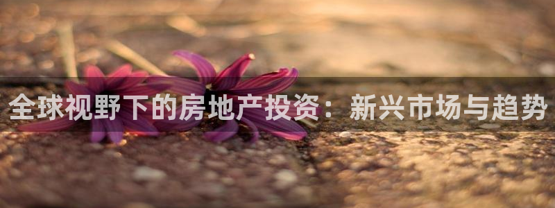 新宝5彩票平台登陆：全球视野下的房地产投资：新兴市场与趋势