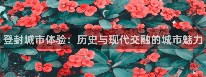 新宝股东瞧听2 5 5：登封城市体验：历史与现代交融的城市魅