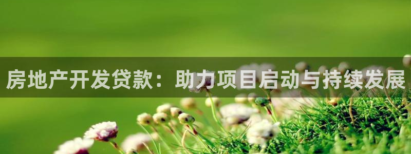 新宝5寻33 300球：房地产开发贷款：助力项目启动与持续发