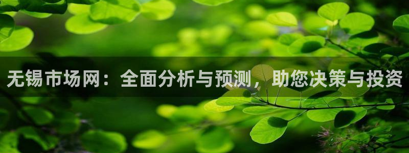 新宝股东王听2 5 5：无锡市场网：全面分析与预测，助您决策