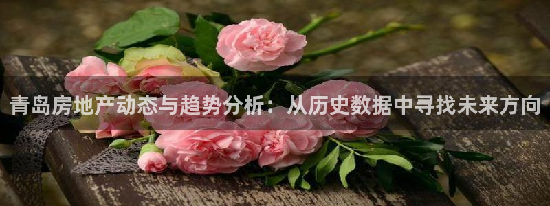 新宝5导师：青岛房地产动态与趋势分析：从历史数据中寻找未来方