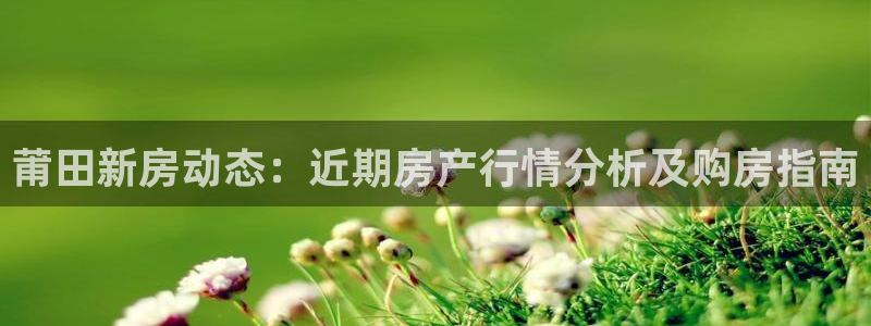新宝5骗术：莆田新房动态：近期房产行情分析及购房指南