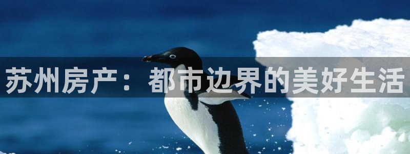 新宝5账号注册：苏州房产：都市边界的美好生活