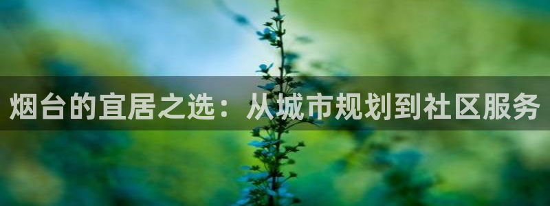 新宝5上70 667：烟台的宜居之选：从城市规划到社区服务