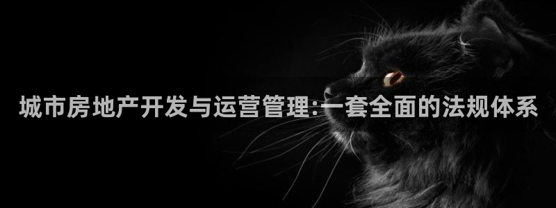 新宝5网址：城市房地产开发与运营管理:一套全面的法规体系