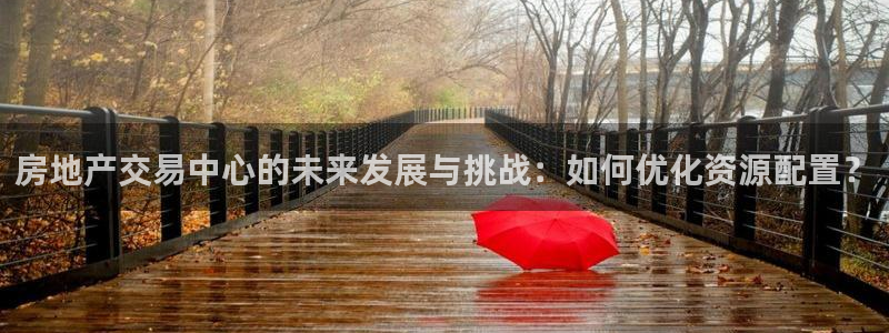 新宝5网：房地产交易中心的未来发展与挑战：如何优化资源配置？