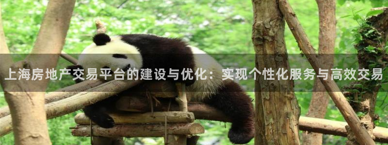 新宝5唯一：上海房地产交易平台的建设与优化：实现个性化服务与