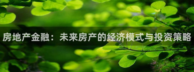 新宝速5：房地产金融：未来房产的经济模式与投资策略