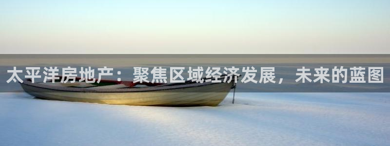 新宝5系列：太平洋房地产：聚焦区域经济发展，未来的蓝图