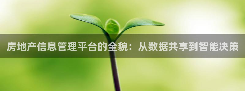 新宝5网：房地产信息管理平台的全貌：从数据共享到智能决策