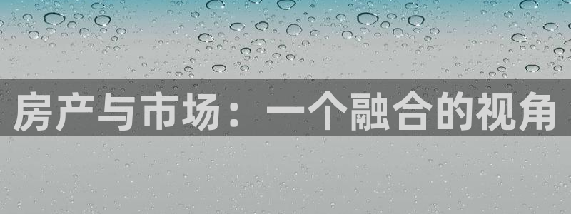 新宝5手机登录：房产与市场：一个融合的视角