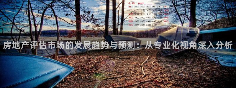 新宝5注册测速登录：房地产评估市场的发展趋势与预测：从专业化