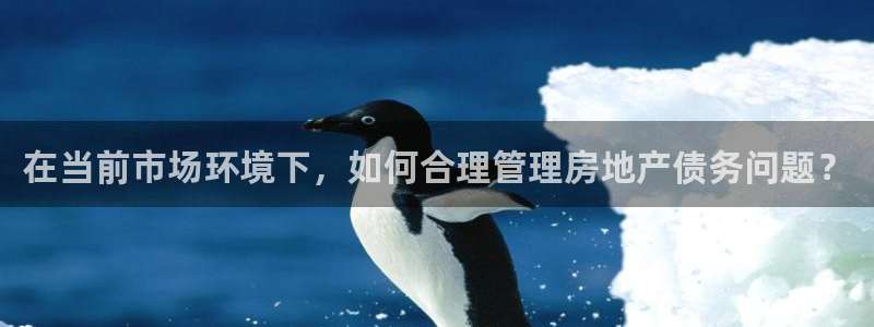 新宝注5册：在当前市场环境下，如何合理管理房地产债务问题？