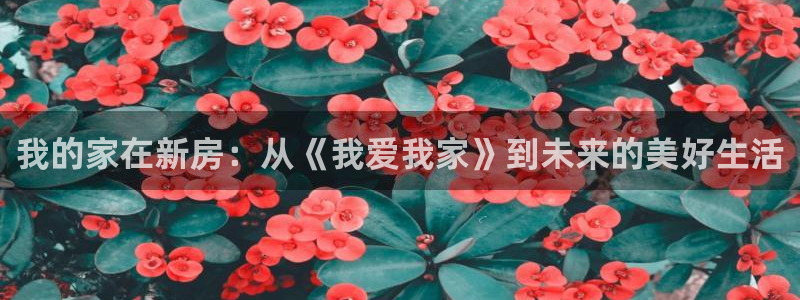 新宝新5：我的家在新房：从《我爱我家》到未来的美好生活