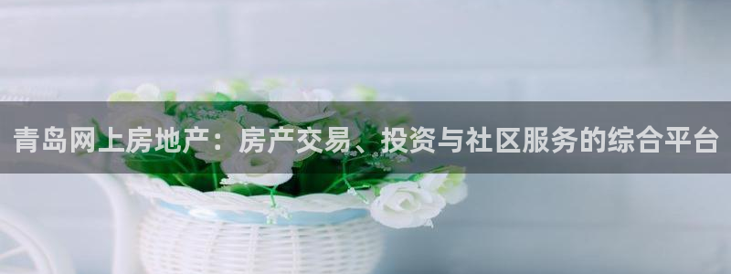 新宝5官网app：青岛网上房地产：房产交易、投资与社区服务的