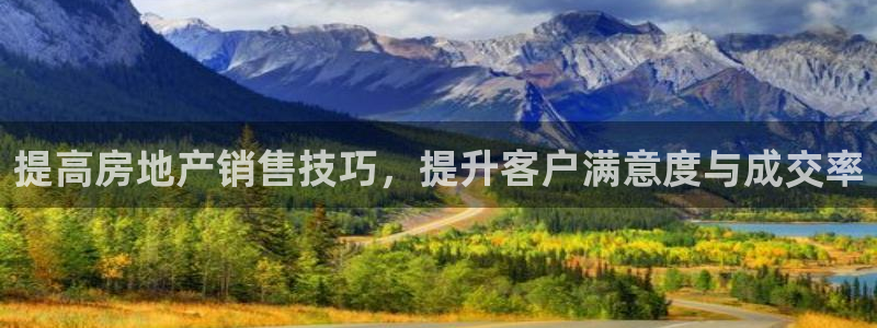 新宝5官方登录入口：提高房地产销售技巧，提升客户满意度与成交