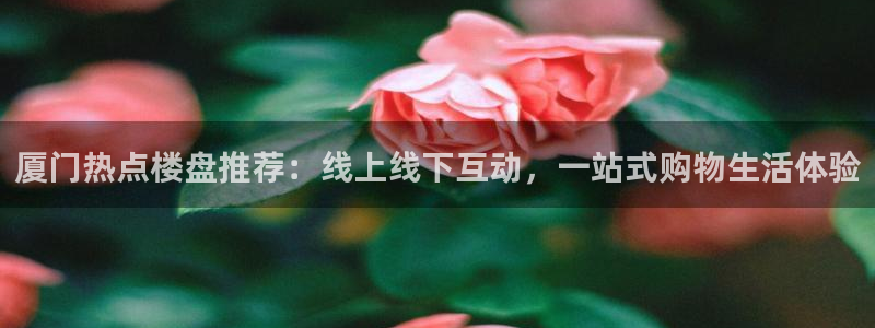 新宝骏rc5W：厦门热点楼盘推荐：线上线下互动，一站式购物生
