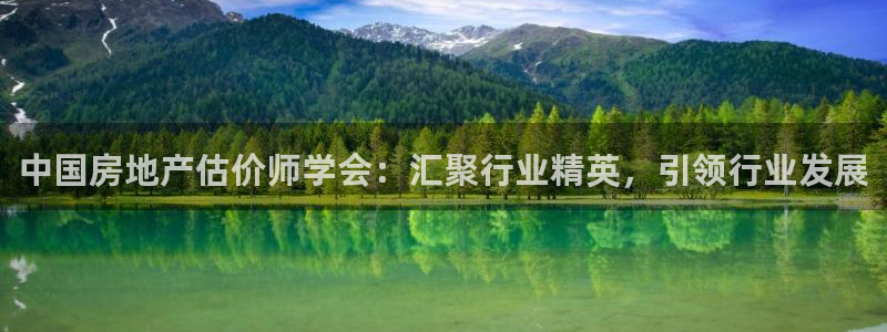 新宝股东张听2 5 5：中国房地产估价师学会：汇聚行业精英，