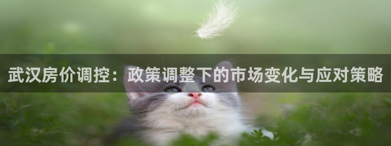 新宝5户端：武汉房价调控：政策调整下的市场变化与应对策略