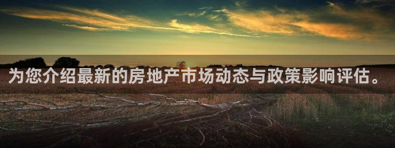 新宝5寻33 300球：为您介绍最新的房地产市场动态与政策影