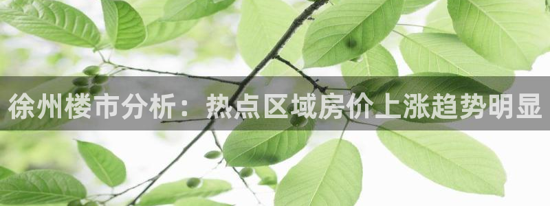 新宝5娱乐登陆：徐州楼市分析：热点区域房价上涨趋势明显
