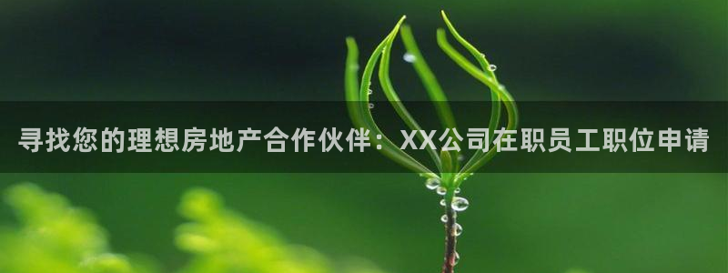 新宝5手机app：寻找您的理想房地产合作伙伴：XX公司在职员