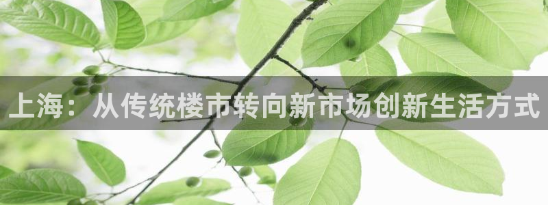 新宝5球维33 300：上海：从传统楼市转向新市场创新生活方