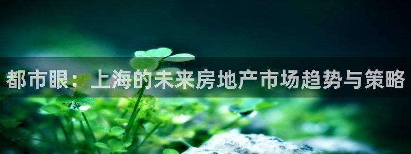 新宝5下载软件：都市眼：上海的未来房地产市场趋势与策略