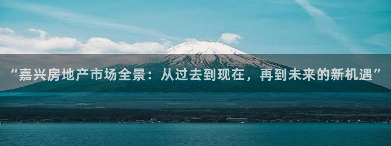 新宝5娱乐多：“嘉兴房地产市场全景：从过去到现在，再到未来的