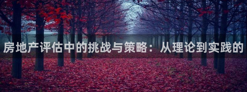 新宝测速5：房地产评估中的挑战与策略：从理论到实践的
